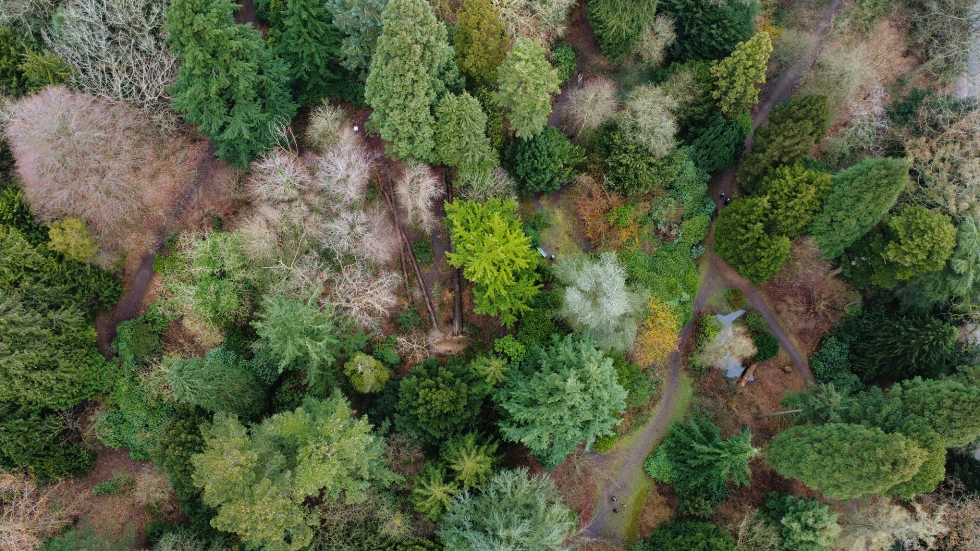 Forstbotanisk have